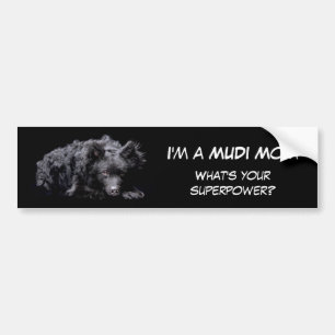 I'm a Mudi Mom What's your superpower Bumper Sticker