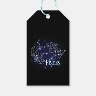 Im A Pisces Zodiac.Trendy Pisces Zodiac Sign Note Gift Tags