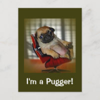 I'm a Pugger!