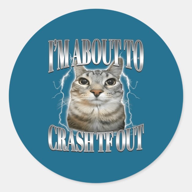 I'm About To Crash Out Funny Staring Cat Brainrot  Classic Round Sticker (Front)