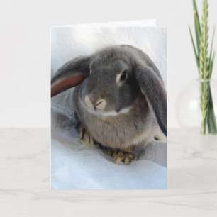 I'm All Ears For You Card