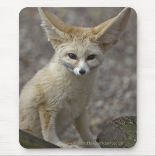 I'm All Ears Mousemat Mouse Pad