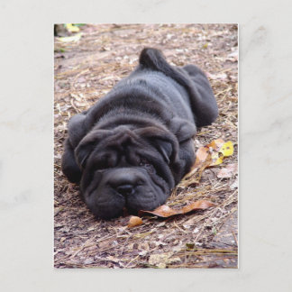 I'm all played out ! postcard