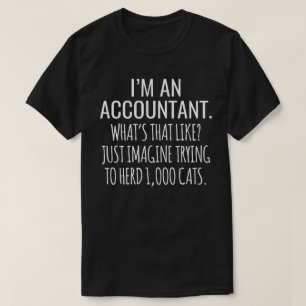 I'M An Accountant What's That Like T-Shirt