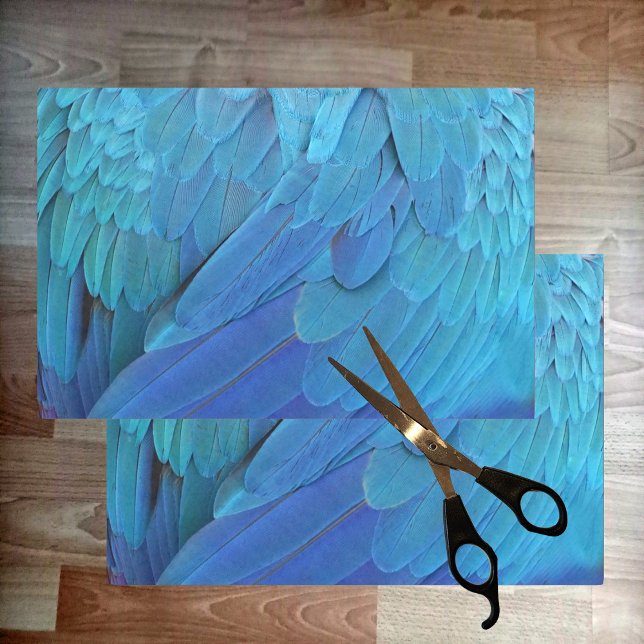 I'm blue - parrot feathers close up  tissue paper (Creator Uploaded)