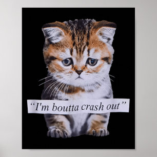 I'm Boutta Crash Out Cat Funny Meme Cat Pet Lover Poster