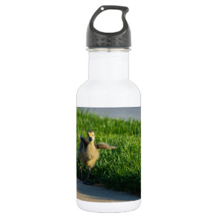 I'm Coming Daddy 532 Ml Water Bottle