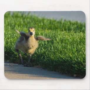 I'm Coming Daddy Mouse Pad