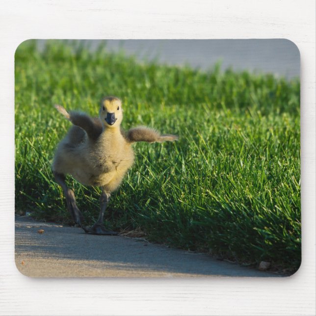 I'm Coming Daddy Mouse Pad (Front)