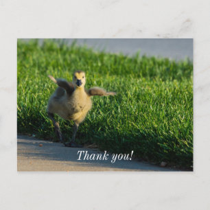 I'm Coming Daddy Thank You Postcard