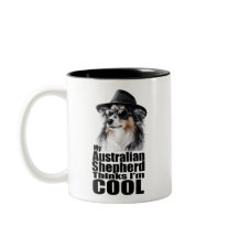 I'm Cool Australian Shepherd