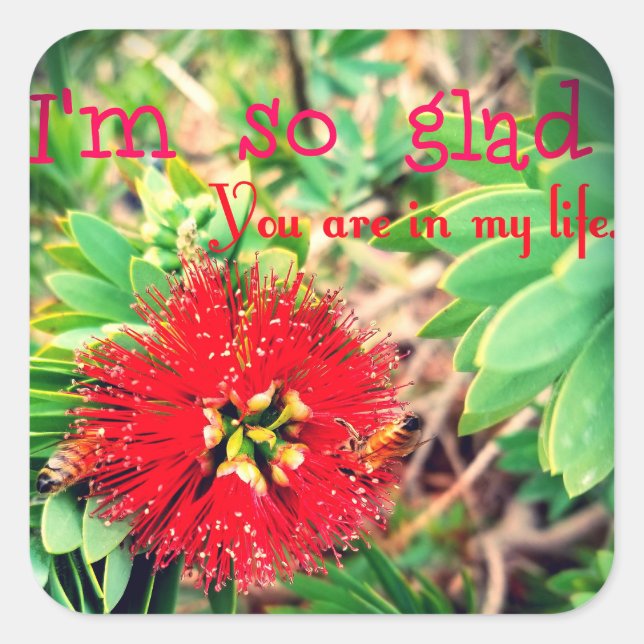 I'm Glad You Are in my Life Square Sticker (Front)