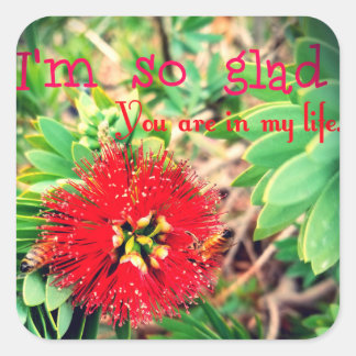I'm Glad You Are in my Life Square Sticker
