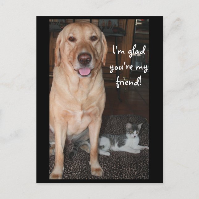 I'm Glad You're My Friend! Postcard (Front)