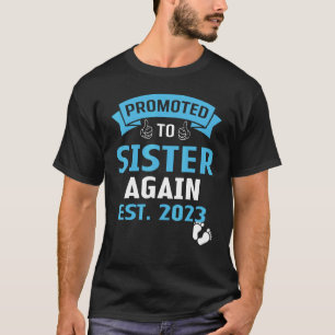 I'm Going To Be A Big Sister Again 2023  Big Sis A T-Shirt