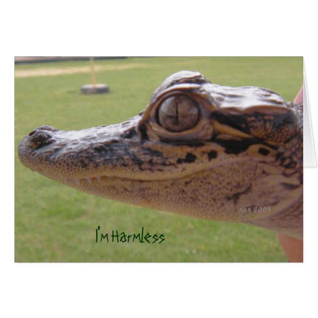 I'm Harmless (Front Horizontal)