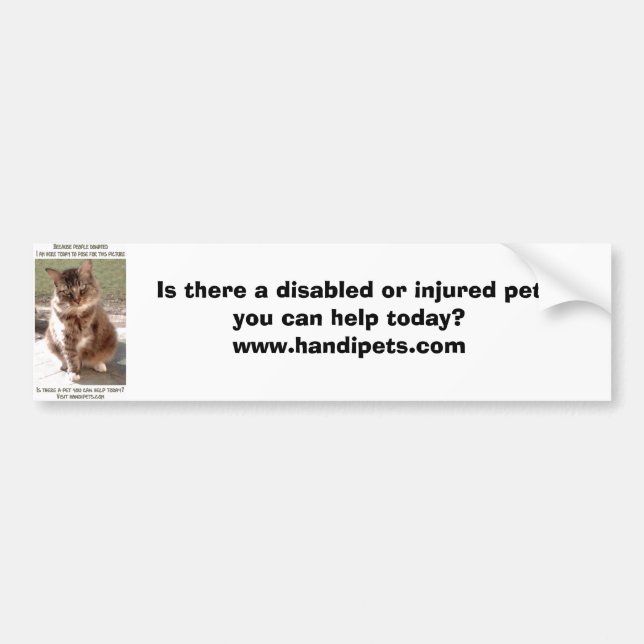 I'm Here Today Bumper Sticker (Front)