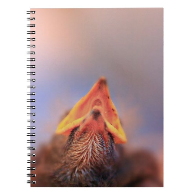 I'm Hungry! (Baby Bird) Notebook (Front)