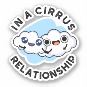 I'm In A Cirrus Relationship Funny Cloud Pun 