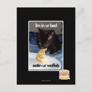 Im in ur bed postcard