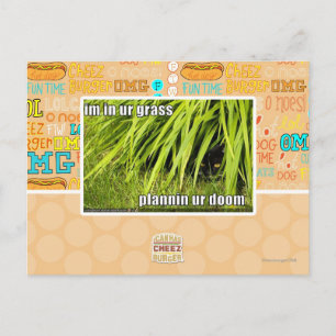 im in ur grass postcard