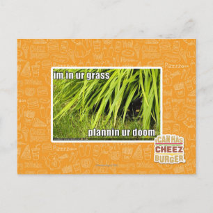 im in ur grass postcard