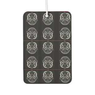 im in your head xray mri scan medical air freshener