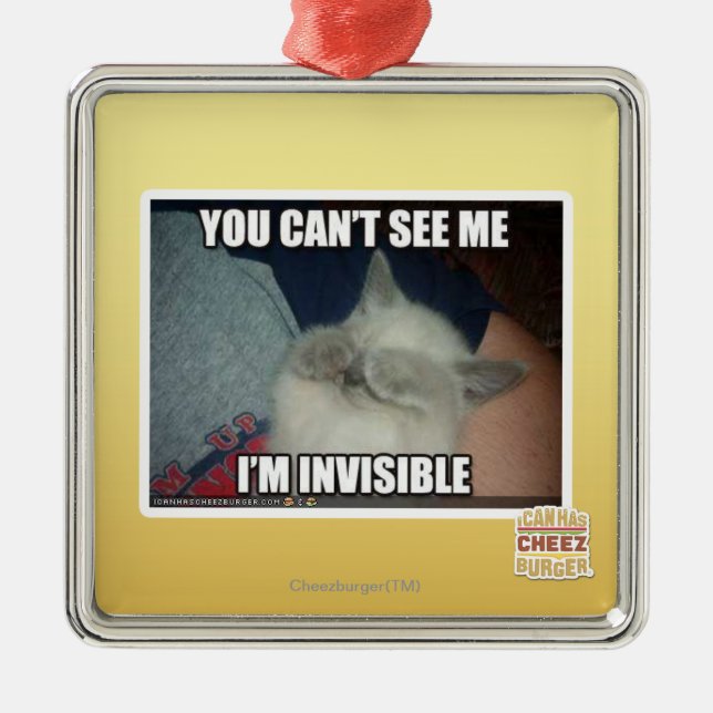 I'm Invisible Metal Ornament (Front)