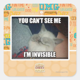 I'm Invisible Square Sticker