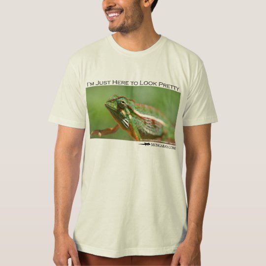 I'm just here to look pretty - chameleon 2 T-Shirt