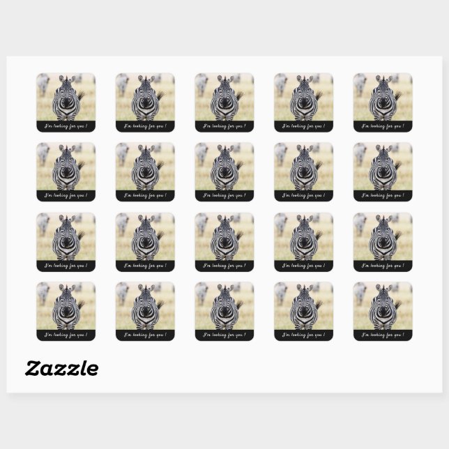 I'm looking for you Zebra photo with text Square Sticker (Sheet)