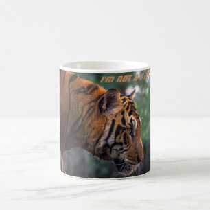 I'm not a kitten. Weapon - the tiger Coffee Mug