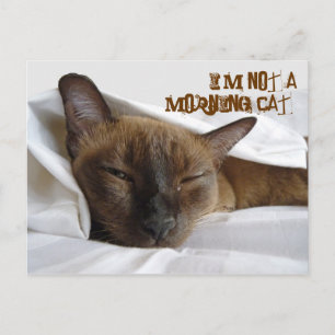 I'm not a morning cat postcard
