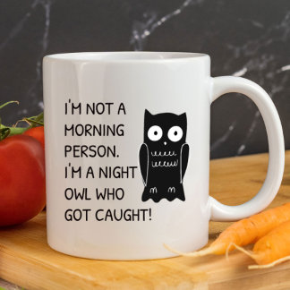 I'm Not a Morning Person Funny | Sarcastic Mug