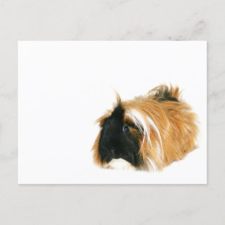 I'm not a tribble postcard