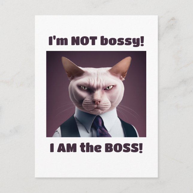 I'm Not Bossy, I'm The Boss - Funny Boss Cat Postcard (Front)