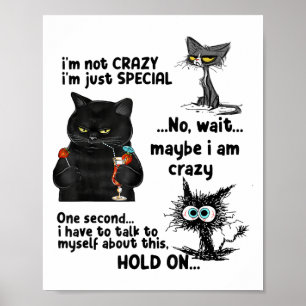 Im Not Crazy Im Just Special Wait Maybe Im Crazy Poster