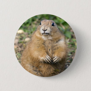 I'm Not Fat, I'm Cuddly Badge 2 Inch Round Button