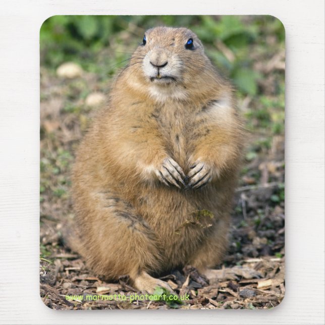 I'm not Fat, I'm Cuddly Mousemat Mouse Pad (Front)