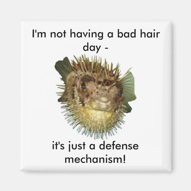I'm not having a bad hair day - magnet (Front)