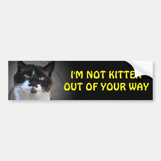 I'm Not Kitten Out of Your Way Bumper Sticker (Front)