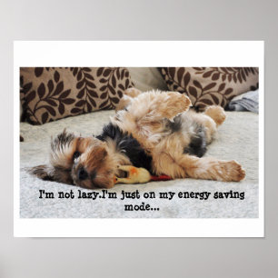 "I'm not lazy" Value Poster