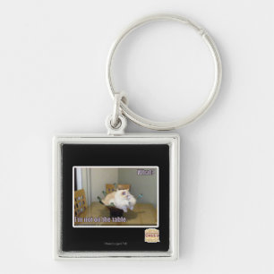 I'm not on the table keychain
