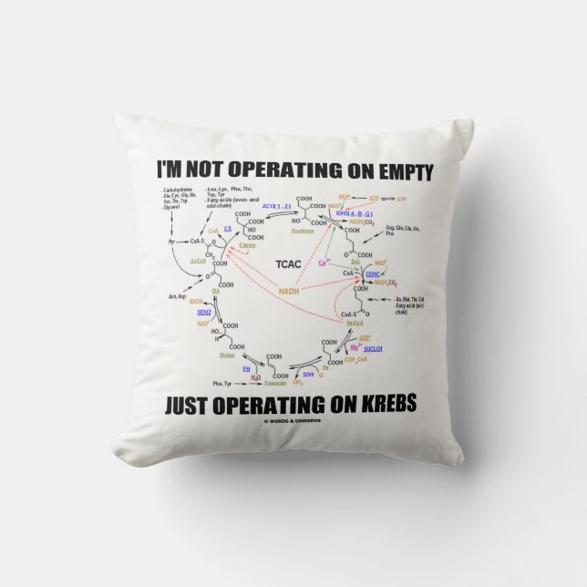 I'm Not Operating On Empty Just Operating On Krebs Throw Pillow (Front)