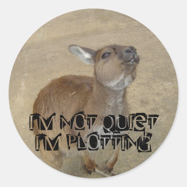 I'm Not Quiet, I'm Plotting Classic Round Sticker (Front)