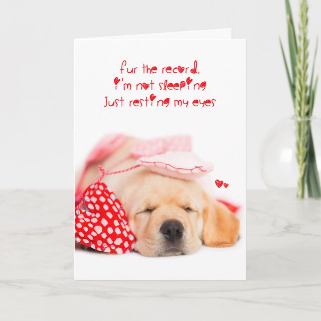 im not sleeping yellow lab puppy valentine holiday card (Front)