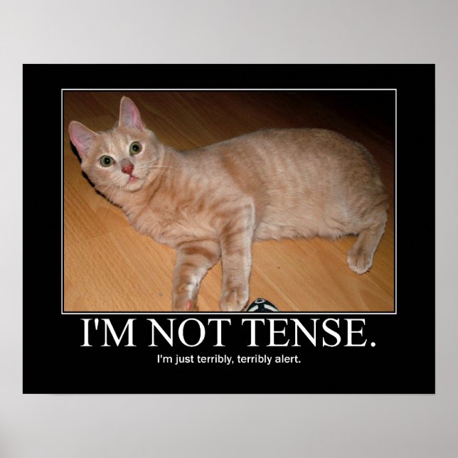I'm not tense cat artwork poster (Front)