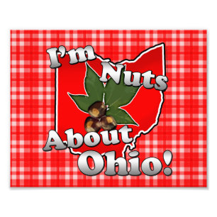 I'm Nuts About Ohio, Funny Red Buckeye Nut Photo Print
