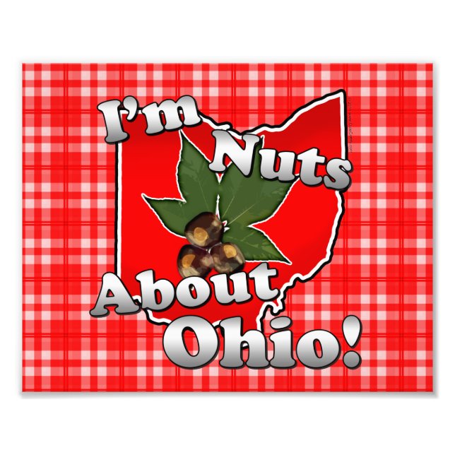 I'm Nuts About Ohio, Funny Red Buckeye Nut Photo Print (Front)