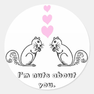 I'm nuts about you. classic round sticker